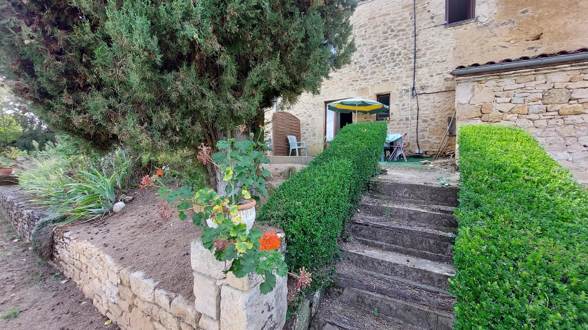 FLEURS DE LA FEUILLADE  1 (7)