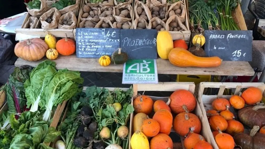 Ferme-bio-St-Martin-de-Gurson-légumes sirtaqui