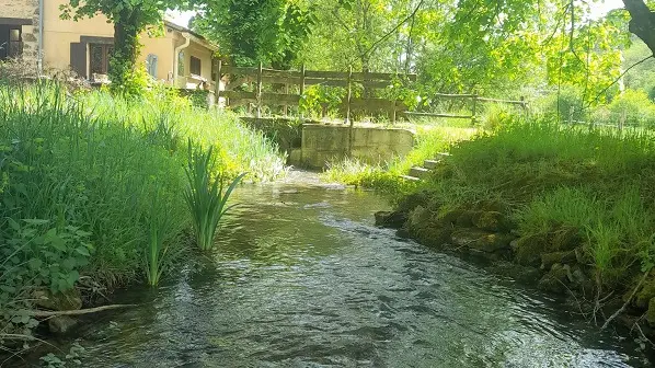 Fleurac_Domaine de Castalia_ruisseau