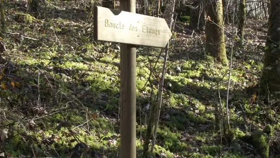 Flèche directionnelle Boucle des Etangs