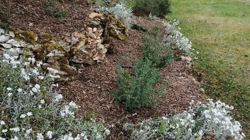 GÎTE CANTERANE fleurs