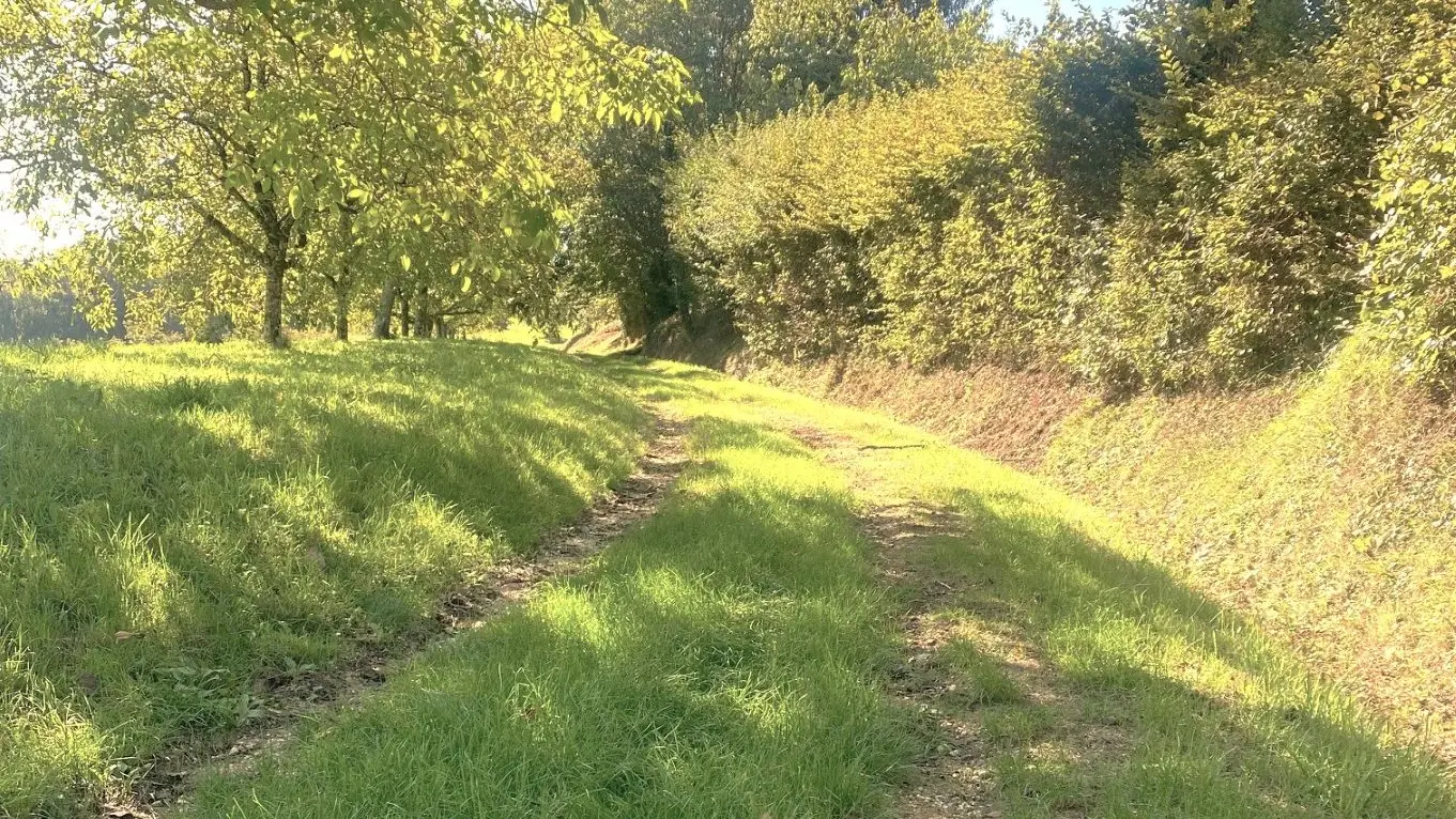 GRIVES-Boucle de Grives-Chemin