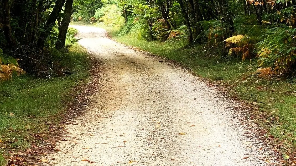 GRUN-BORDAS-Boucle de Bordas-Chemin