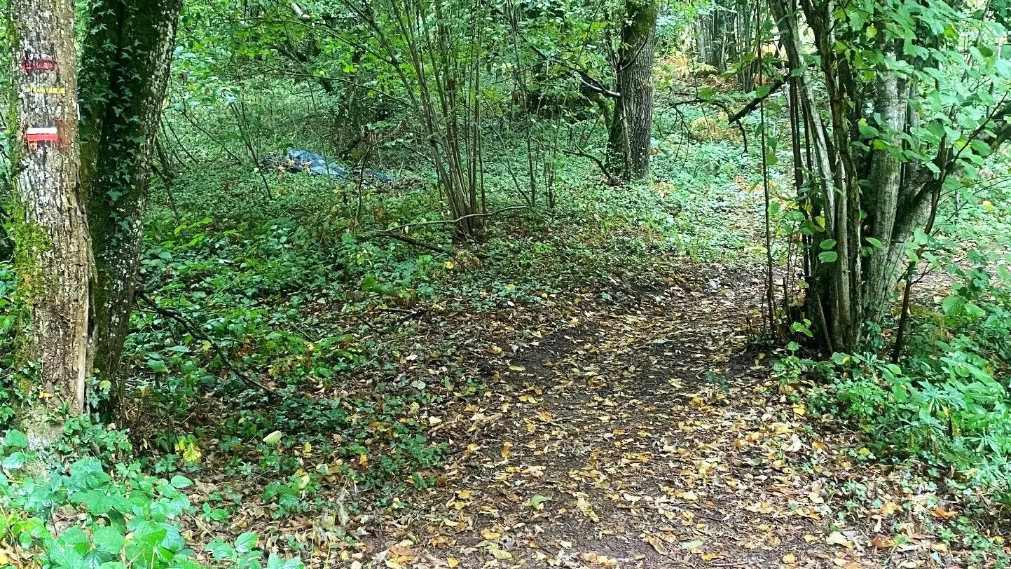 GRUN-BORDAS-Boucle de Grun-Chemin 2