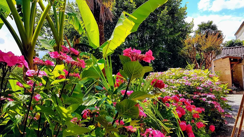 Gîte-Michel-St-Méard-fleurs