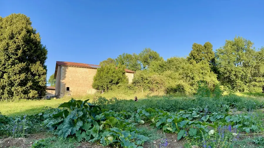 Gite Fole Kauwe - La ferme