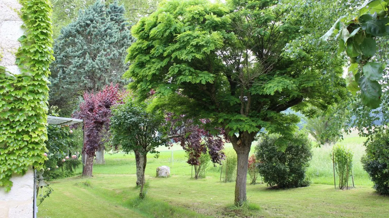 Gite Saint Aulaire de l'Angle jardin