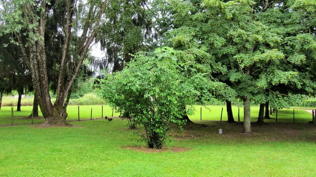 Gite-de-Néry-parc