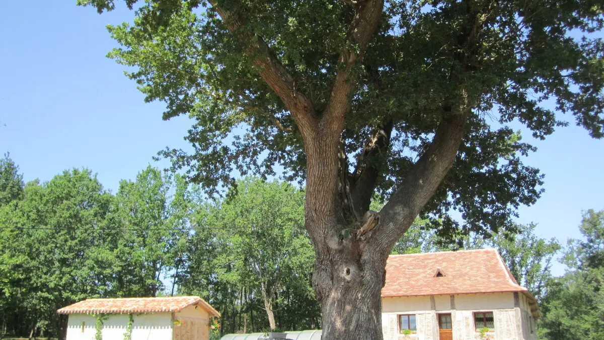 Gîte les Tourriers 2