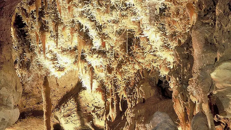 Les Grottes de Maxange - Le Buisson de Cadouin