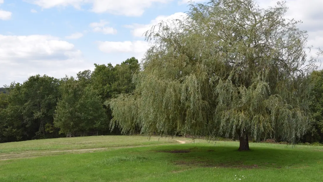 Grange-des-Brousses-vue-depuis-terrasse (112)