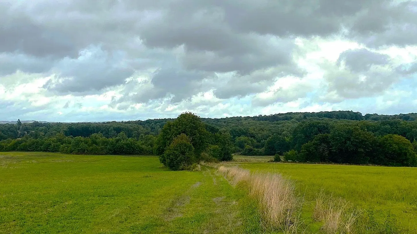 HAUTEFAYE-Boucle du Clos Neuf-Chemin 2