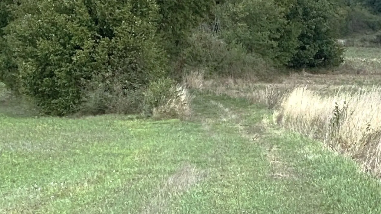 HAUTEFAYE-Boucle du Clos Neuf-Chemin