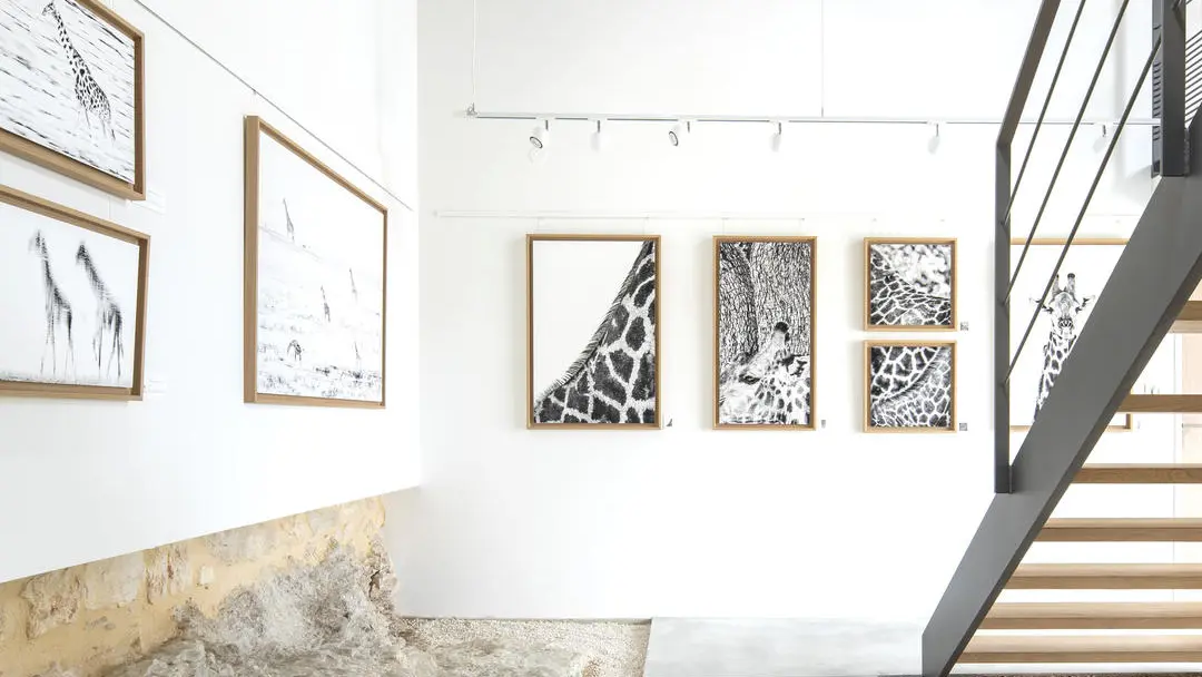 Hors-série - galerie d'art photographique