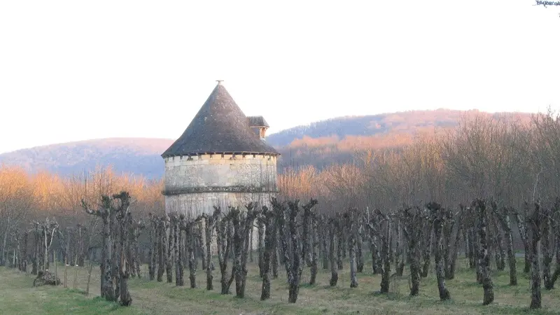 Colombier du Château de Sauveboeuf