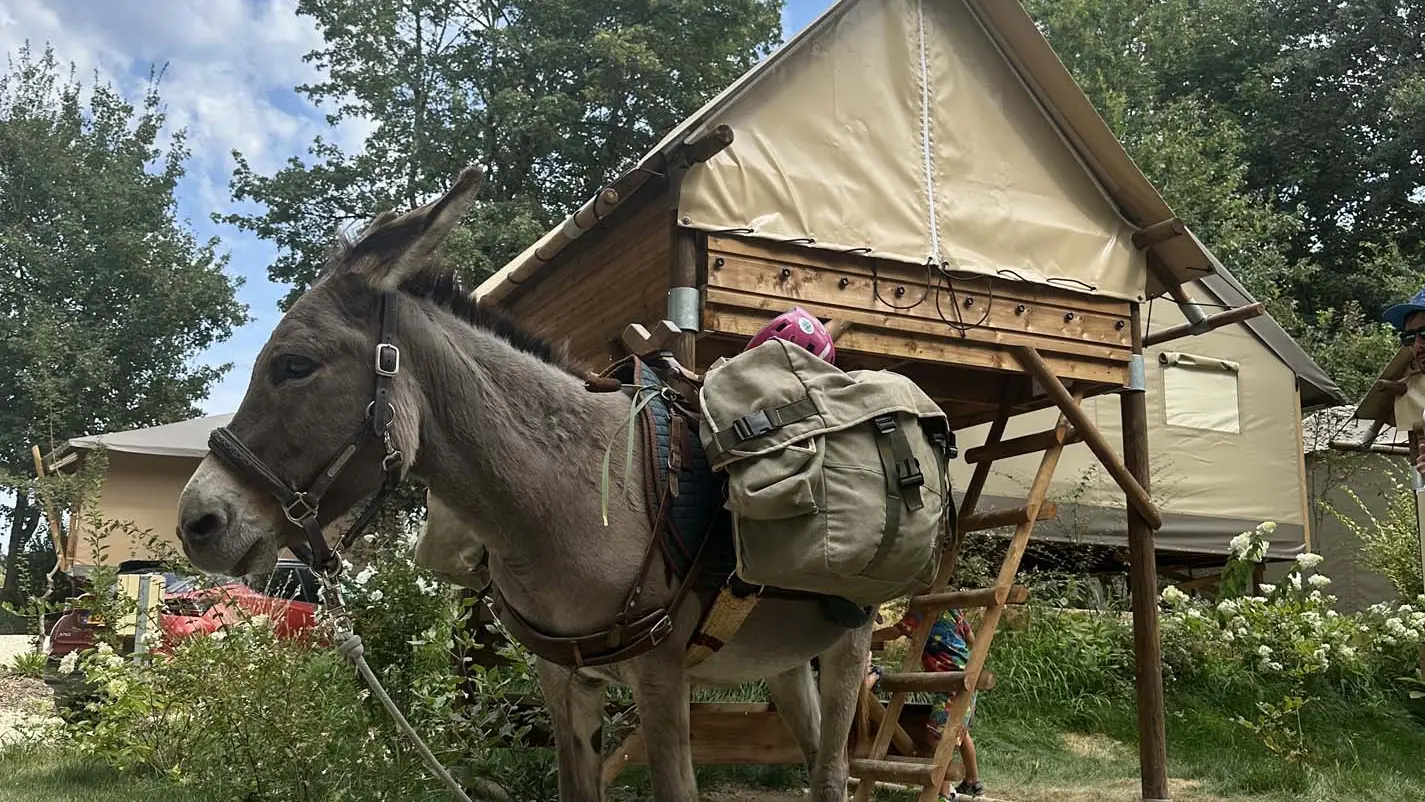 Camping les Cinq Chateaux - Vézac