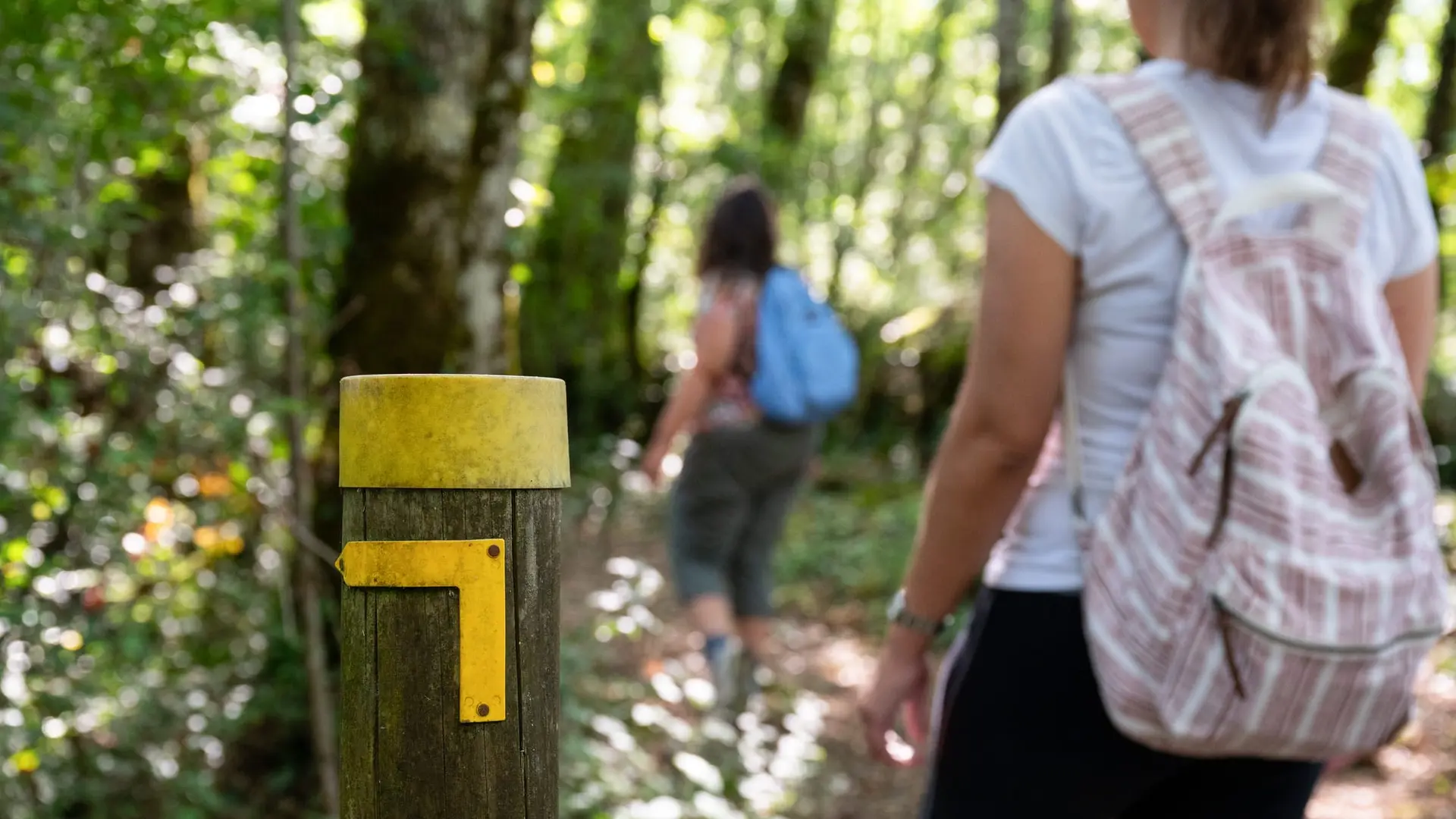 ITI_Boucle de Miremont_Mauzens-et-Miremont (10)