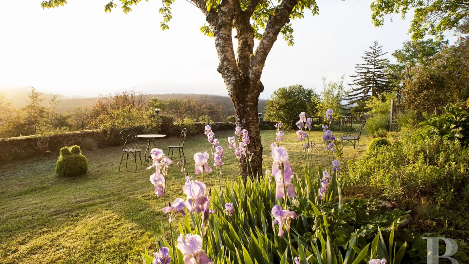 Jardin 1