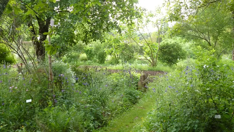 Jardin botanique d'ALAIJE