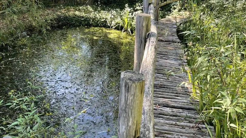 Jardin-de-Paradis-Montagnac la Crempse