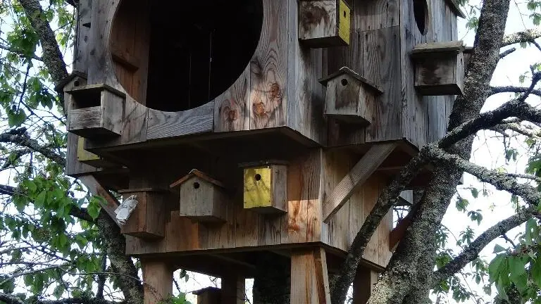 Jardin-de-Paradis-Montagnac la Crempse Pour les Enfants du Pays de Beleyme