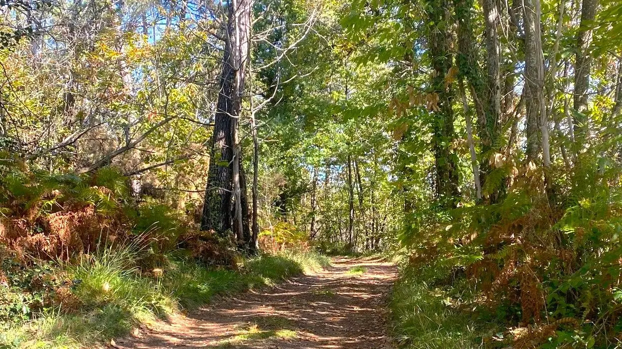LA CHAPELLE-GONAGUET-Boucle de Merlande-Chemin 2