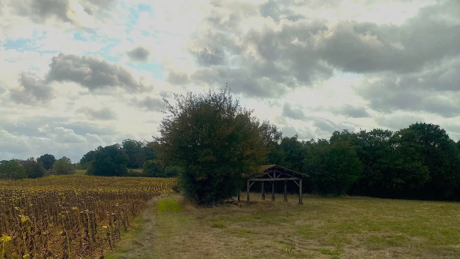 LA CHAPELLE-SAINT-ROBERT-Boucle Romane-Chemin