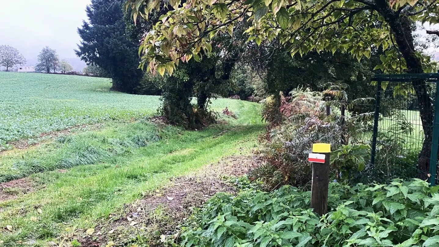 LA COQUILLE-Boucle de Grateloup-Chemin-Poteau