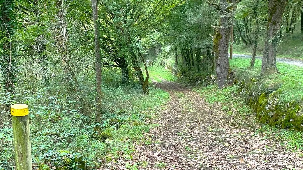 LA GONTERIE-BOULOUNEIX-Boucle de La Gonterie-Chemin-Poteau 2