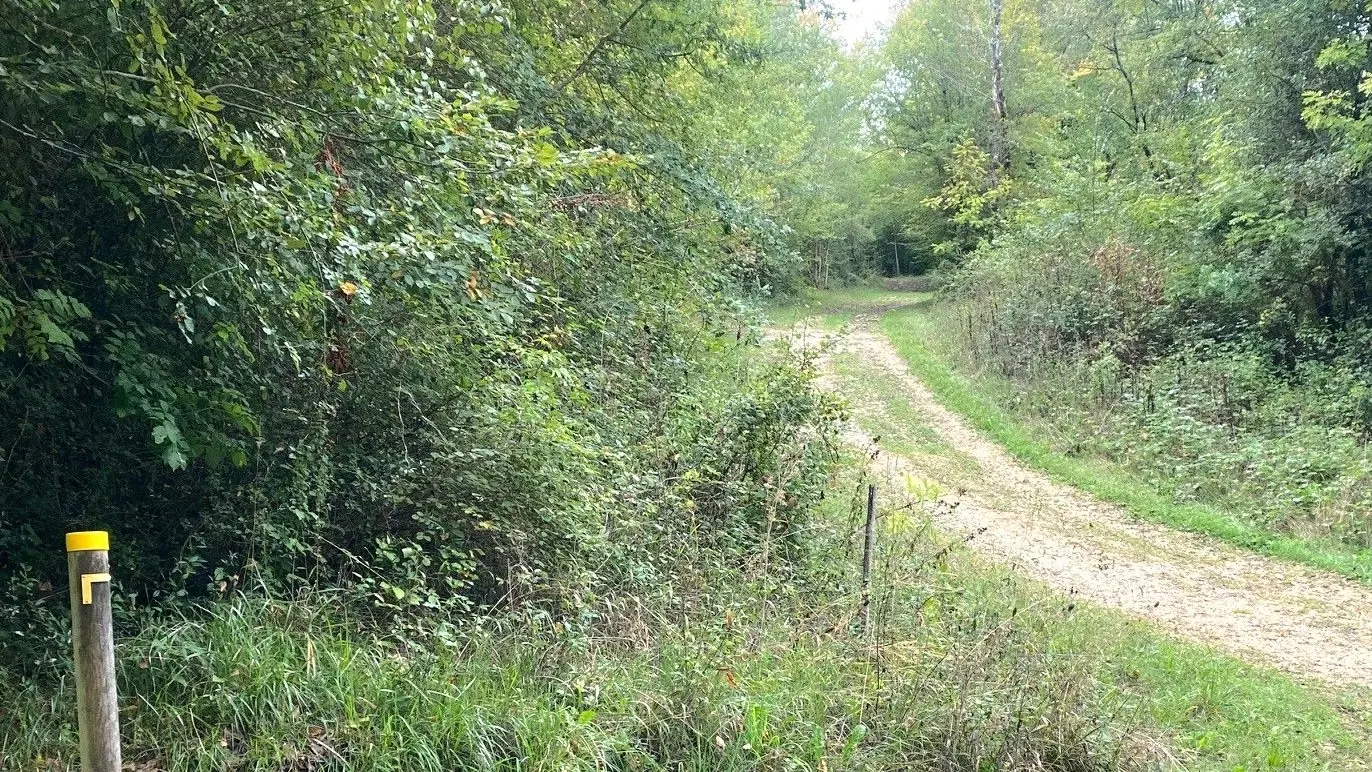 LA GONTERIE-BOULOUNEIX-Boucle de La Gonterie-Chemin-Poteau