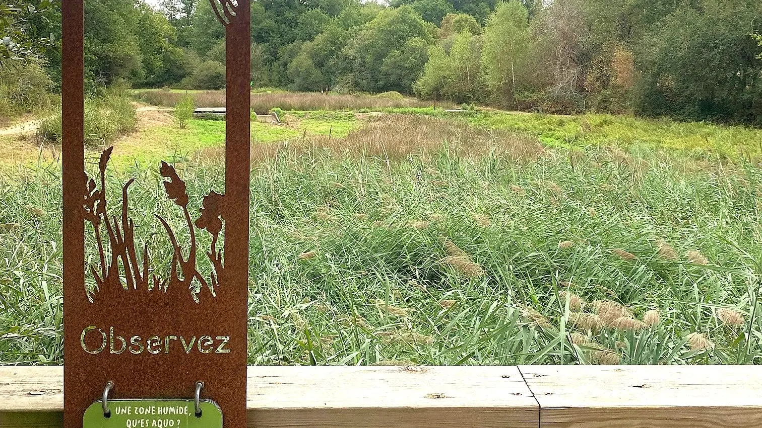 LA JEMAYE-PONTEYRAUD-Boucle du Grand étang-ENS
