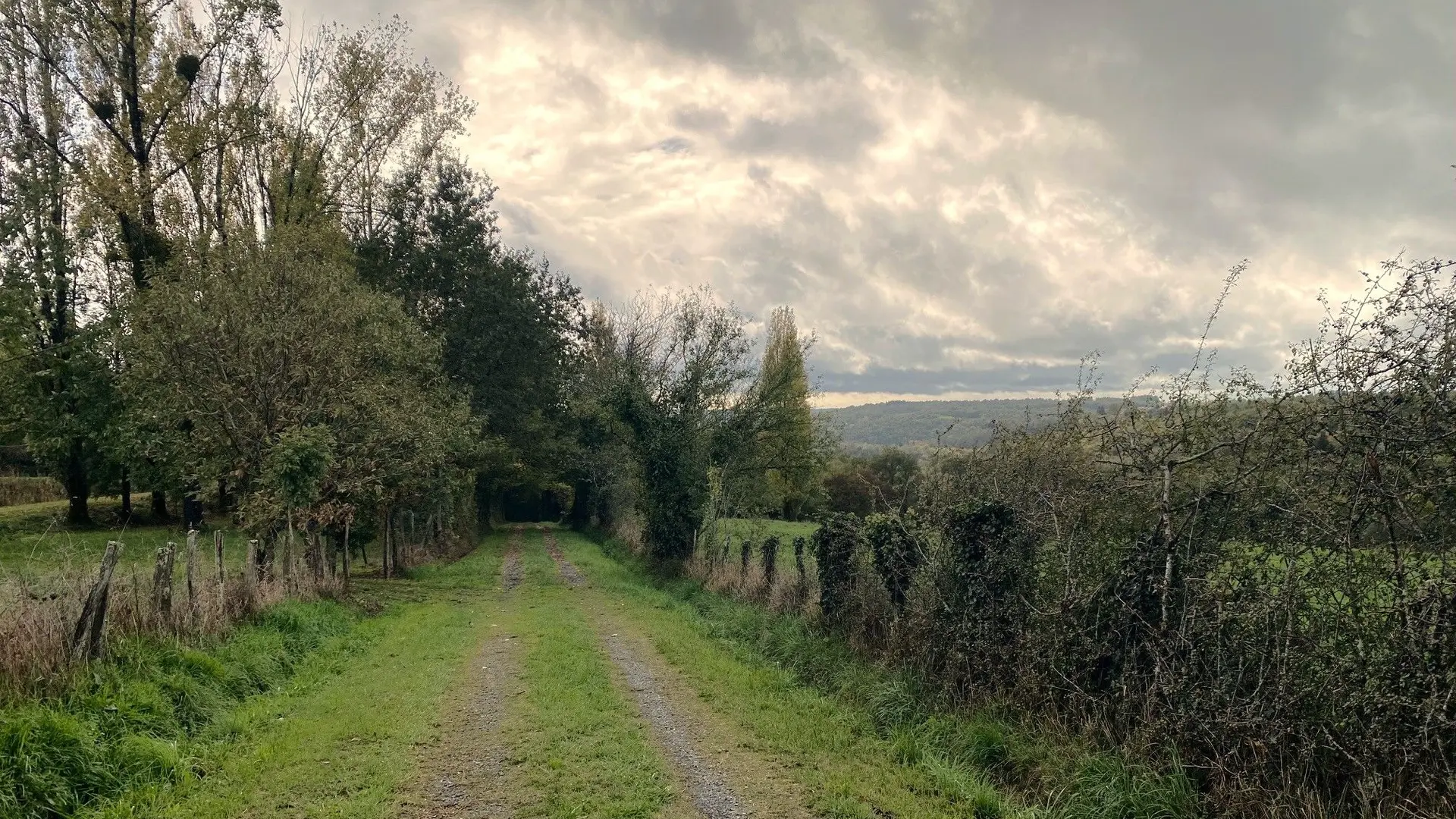 LANOUAILLE-Boucle de Laujardie-Chemin 2