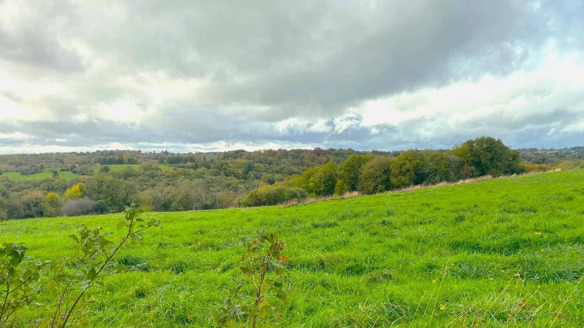 LANOUAILLE-Boucle de Laujardie-Chemin