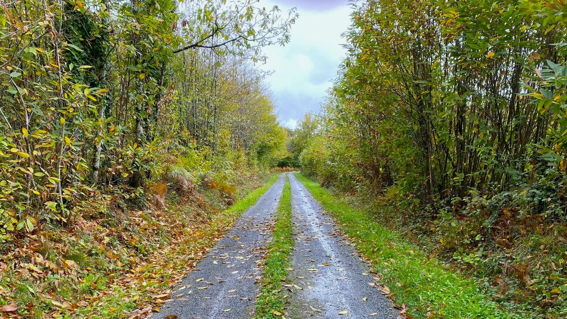 LANOUAILLE-Boucle du Puy-Chemin