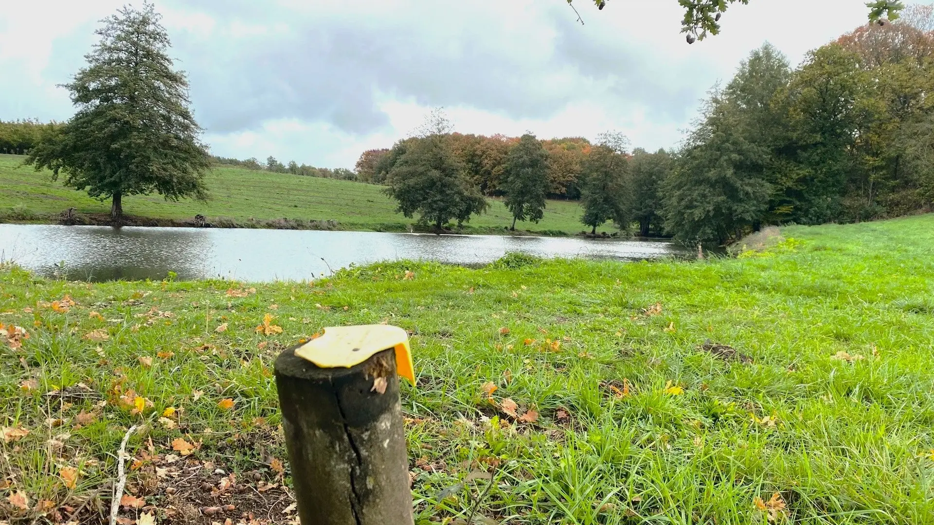 LANOUAILLE-Boucle du Puy-Paysage