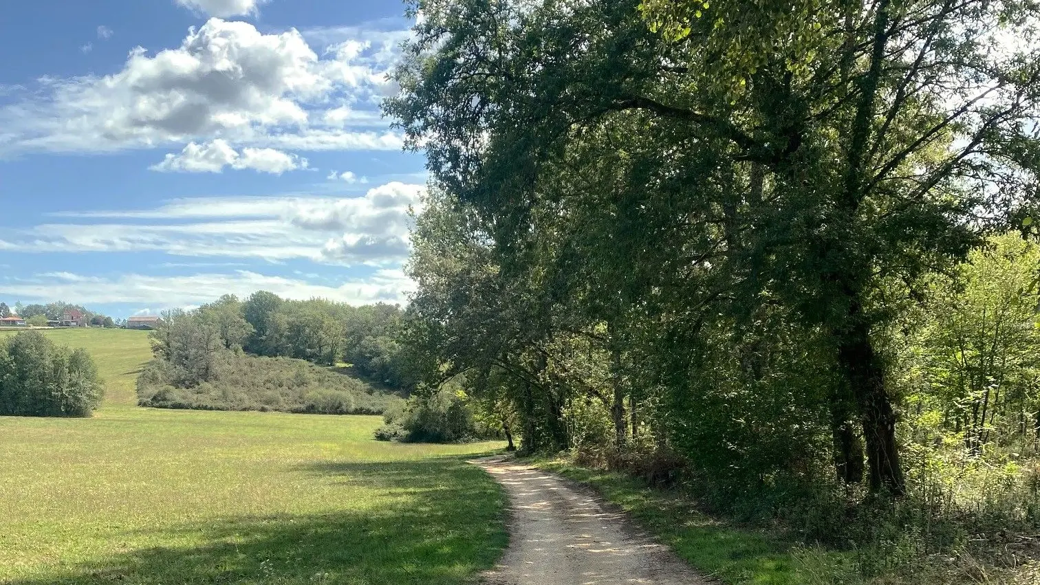 LARZAC-Boucle des Viaducs-Chemin