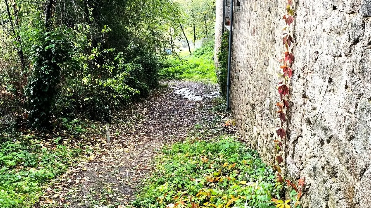 LE BOURDEIX-Boucle de la Bosse-Chemin