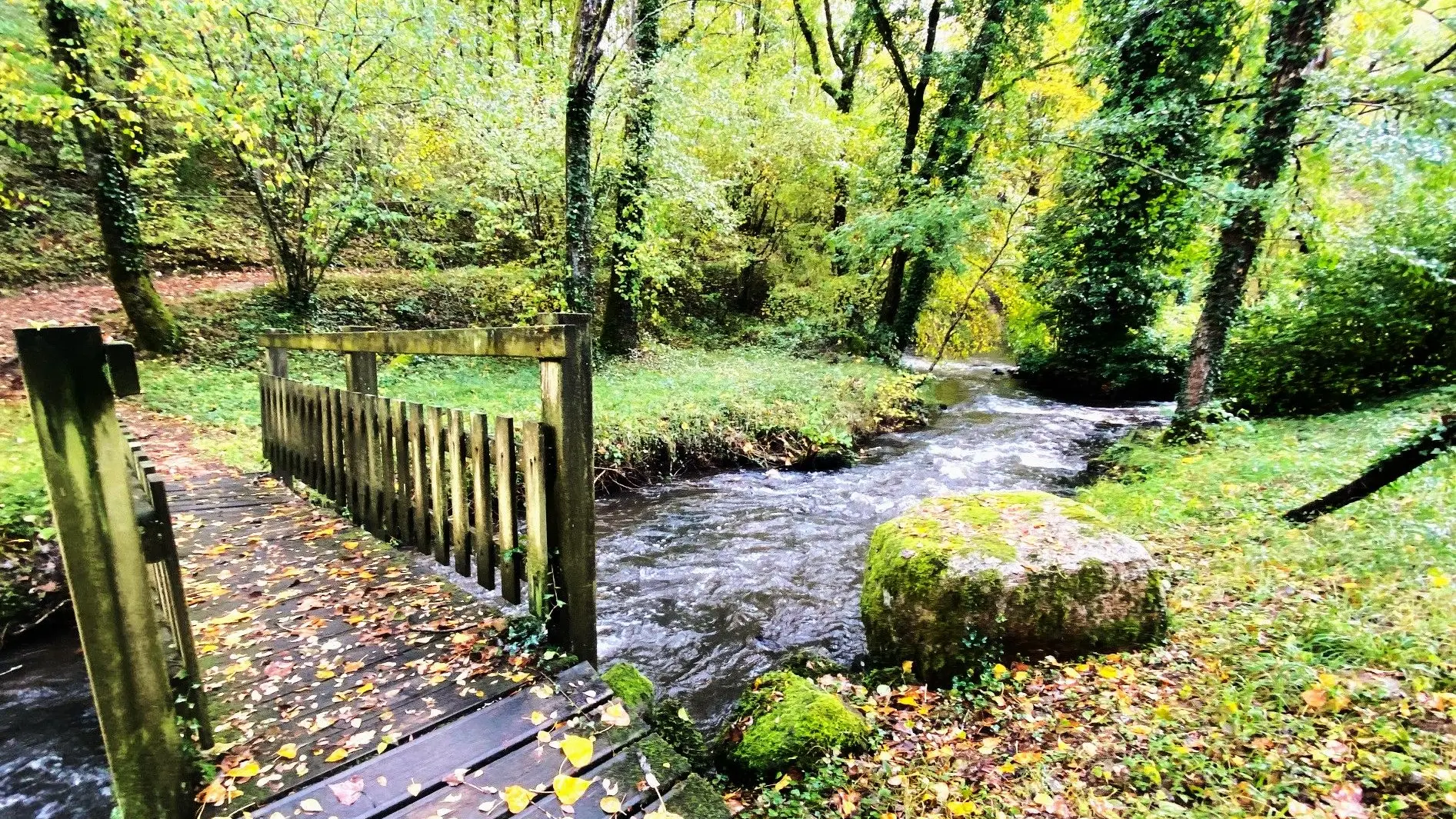 LE BOURDEIX-Boucle de la Doue-Passerelle-rivière