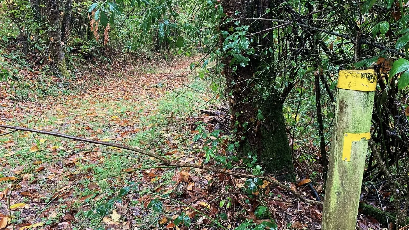 LE BOURDEIX-Boucle des Forges-Chemin-Poteau