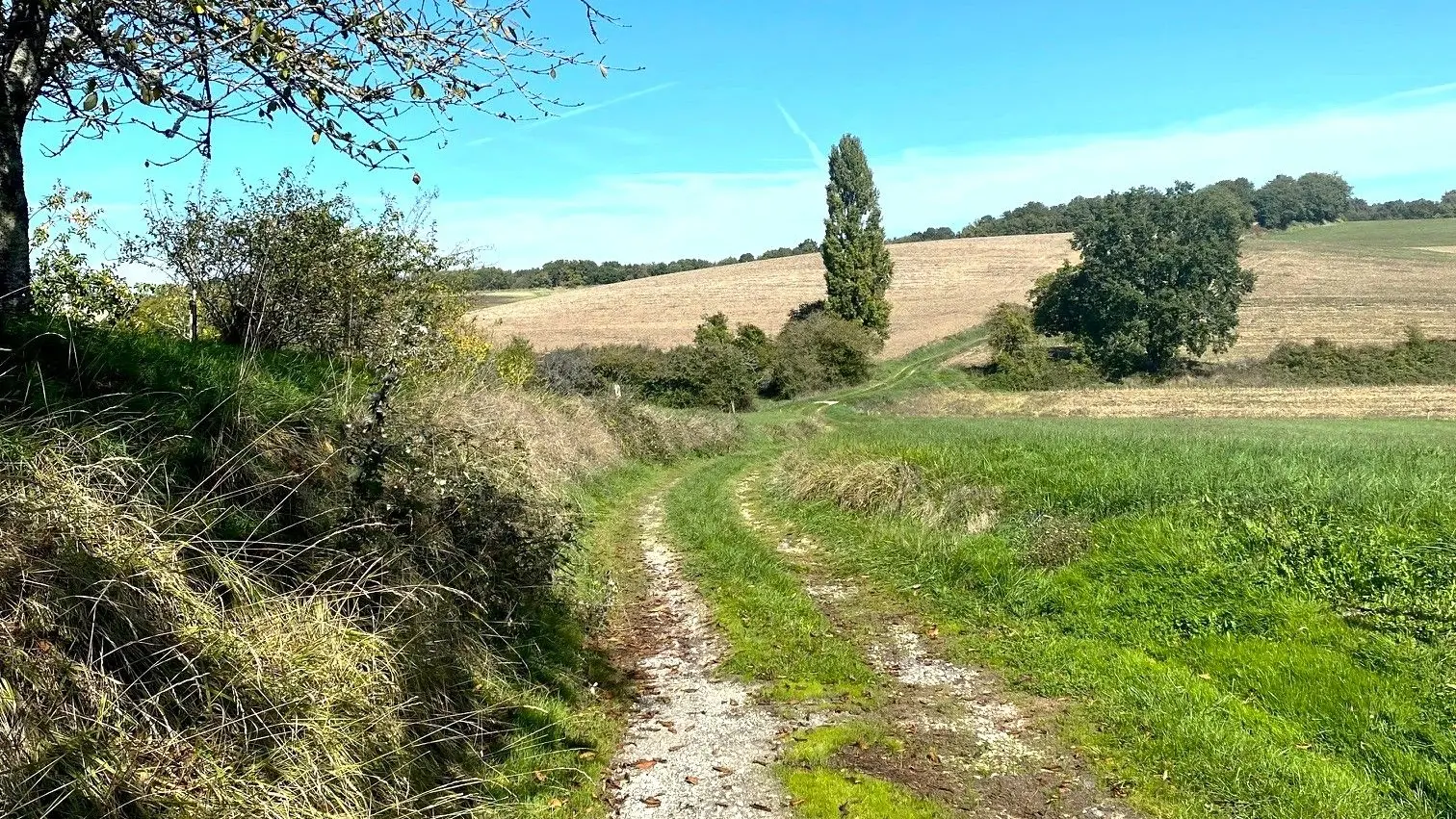 LEGUILLAC-DE-CERCLES-Boucle de Léguillac-Chemin 2