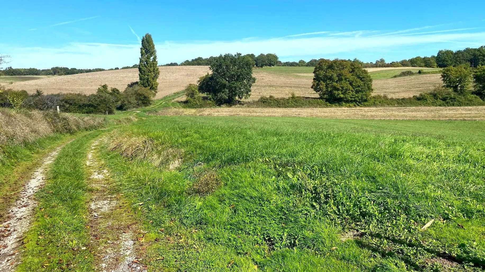 LEGUILLAC-DE-CERCLES-Boucle de Léguillac-Chemin