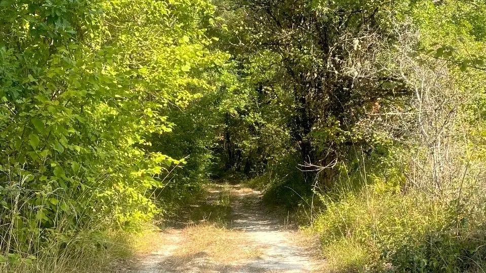 LEGUILLAC DE L'AUCHE-Sentier Mérovingien-Chemin