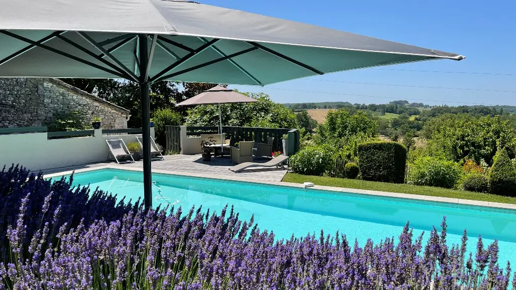 LFB_lavande_piscine
