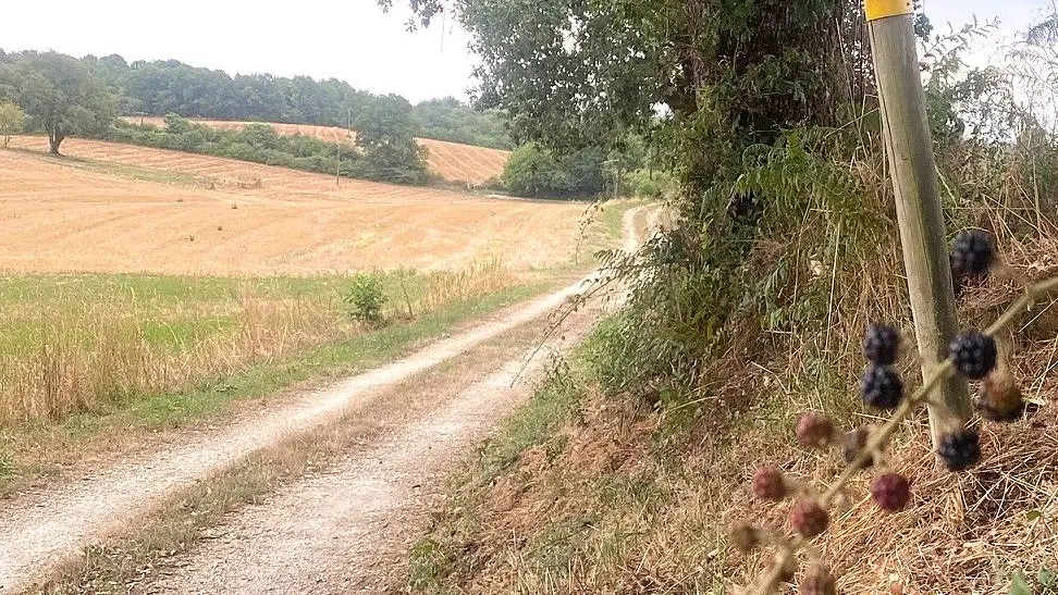 LIGUEUX-Boucle des Brames-Poteau-Chemin