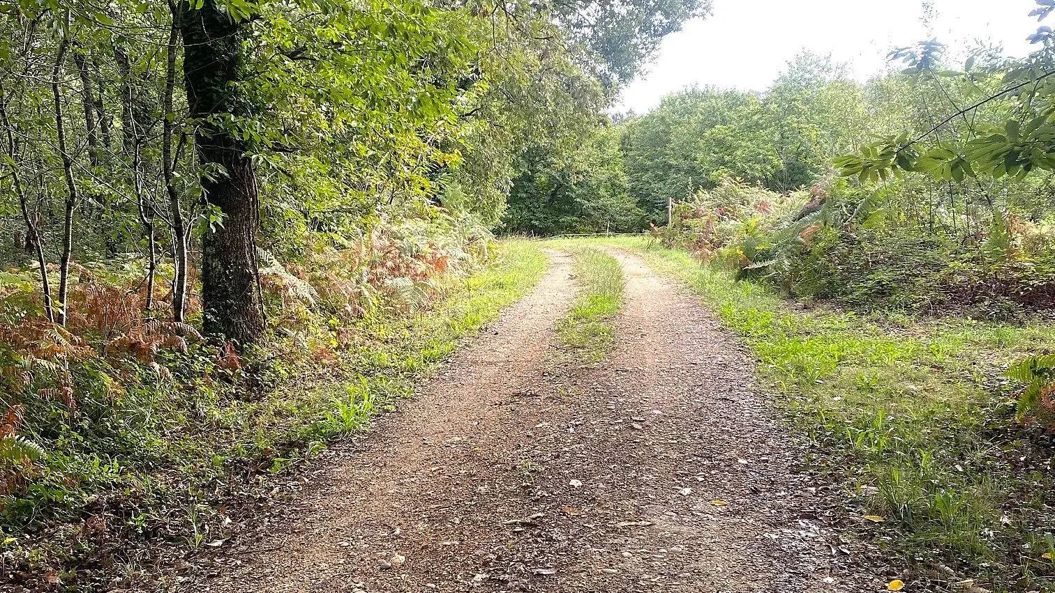 LOUBEJAC-Boucle des Granges-Chemin 3