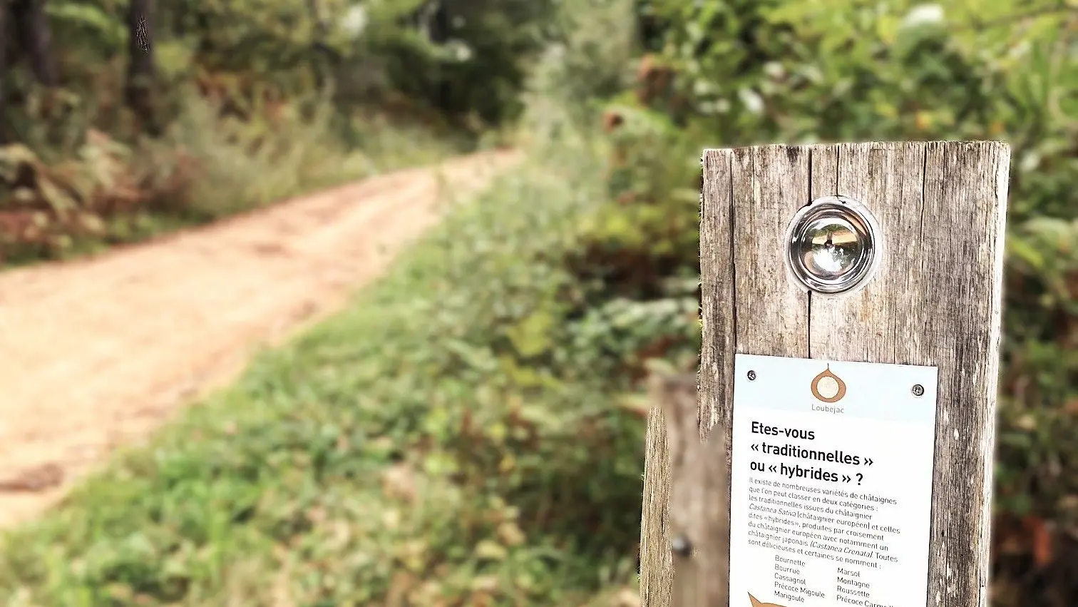 LOUBEJAC-Boucle des Granges-Info