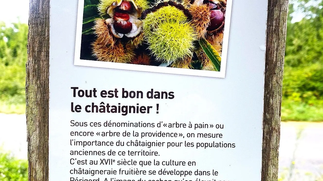 LOUBEJAC-Boucle des Granges-Questionnaire