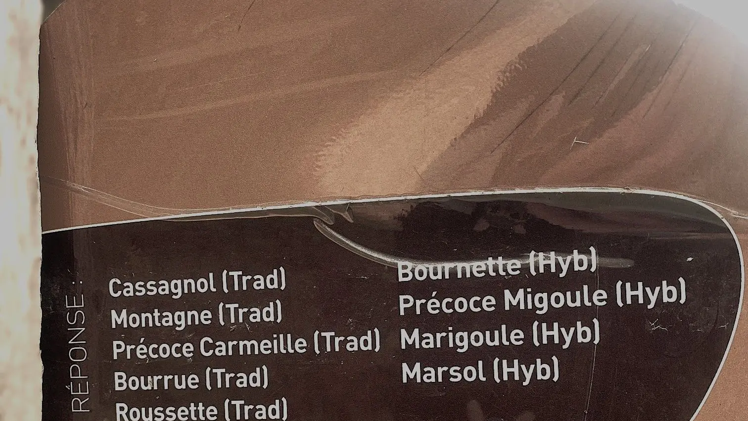 LOUBEJAC-Boucle des Granges-Réponse