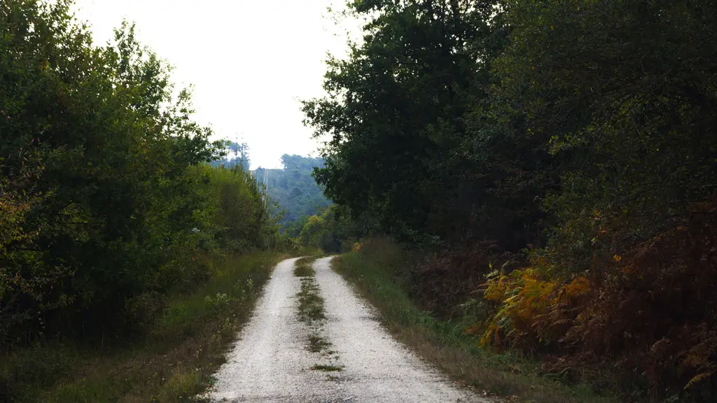 LUNAS__Marie_Grasseau_OTBSD__1_