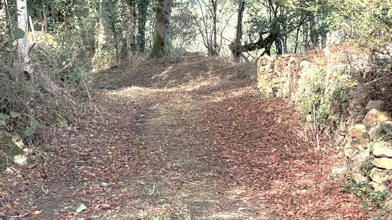 LUSSAS-ET-NONTRONNEAU-Boucle de Mauvy-Chemin 2